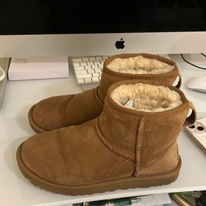 Mini Chestnut Uggs